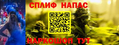 крисы Северобайкальск