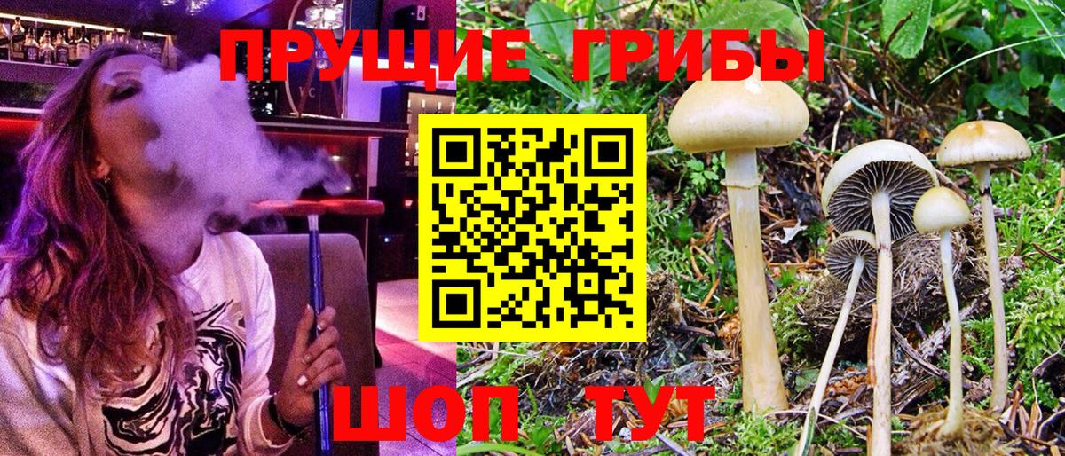 Галлюциногенные грибы мицелий  Вход с VPN  Реж 